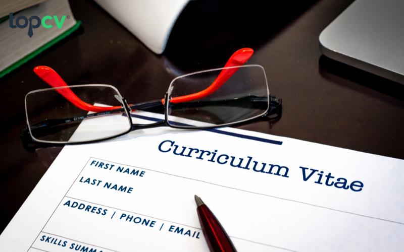 Tổng hợp mẫu CV xin việc kế toán mới ra trường thu hút HR